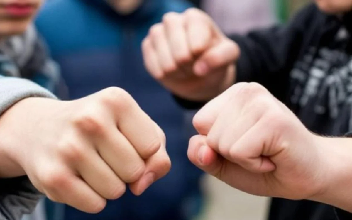 Жамбыл облысында жасөспірімдер төбелесіп, 15 жастағы оқушы көз жұмды
