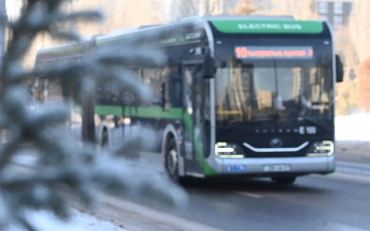 Телефонмен сөйлескен автобус жүргізушісі әйелді қағып өлтірді: сот үкімі шықты