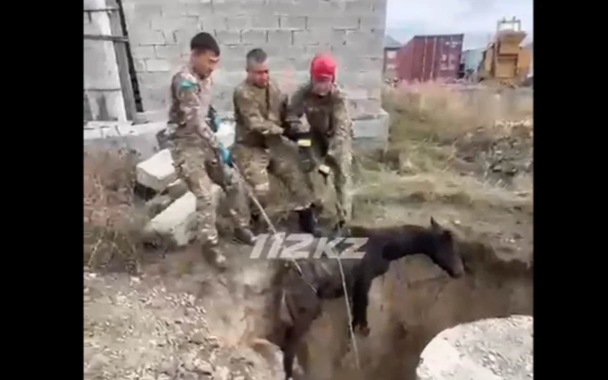 ТЖМ