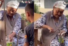 Фото: видеодан скриншот
