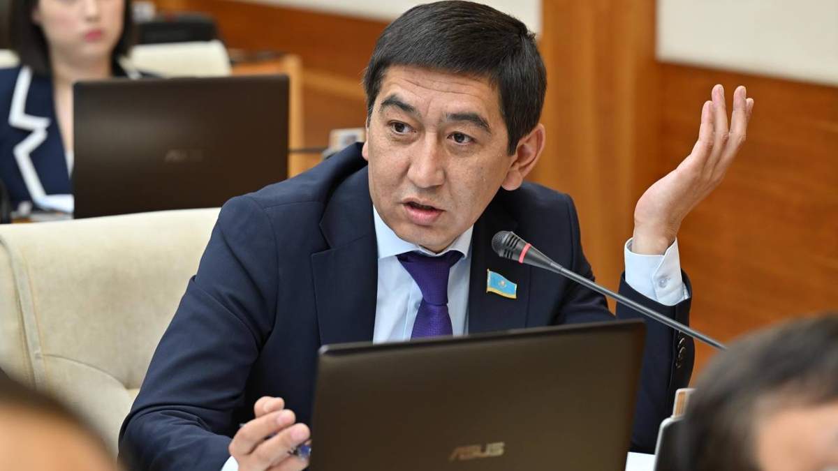 Депутат Ринат Зайыт Нұрбол Назарбаевтың мүлкіне толық тексеріс жүргізуді талап етті