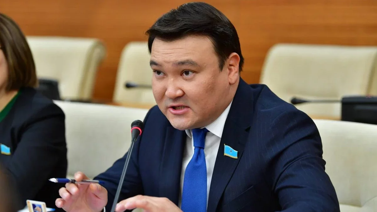 Депутат: ШОБ-ты қолдау бағдарламалары бизнеске сенім емес, күмән тудырып отыр