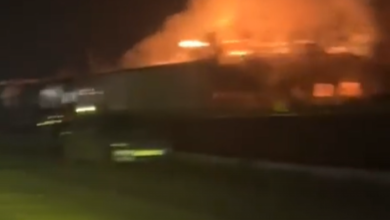 Скриншот видеодан