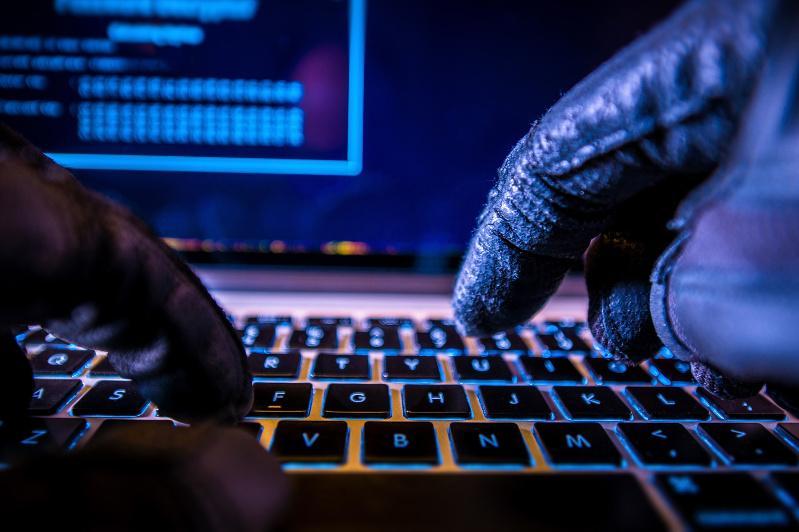 Референдум қарсаңында жаңа алаяқтық тәсілі анықталды