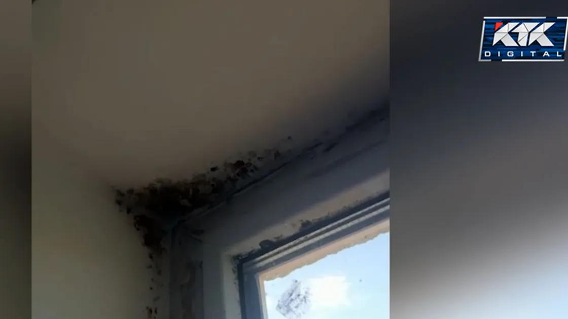 Ақмола облысында жаңа берілген үйлердің сапасына тұрғындар шағымданды