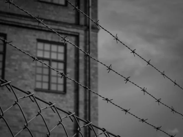Қазақстанда 15 мыңнан астам адамға рақымшылық жасалуы мүмкін