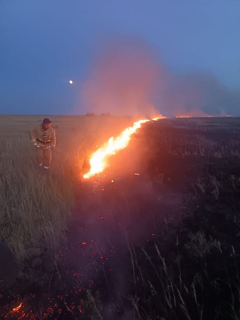 Бір күнде үш ауданда өрт шықты: тілсіз жау 38 гектарды шарпыды