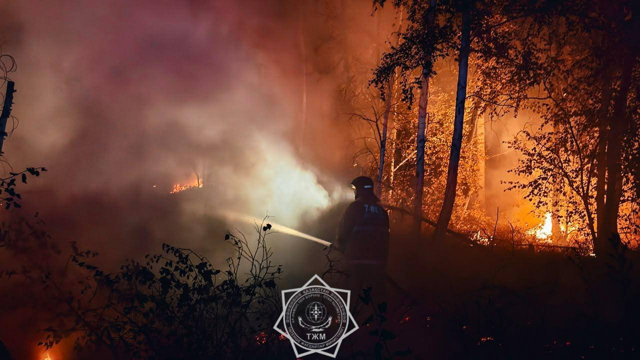 Қостанай облысында 850 гектар жерді шарпыған дала өрті сөндірілді