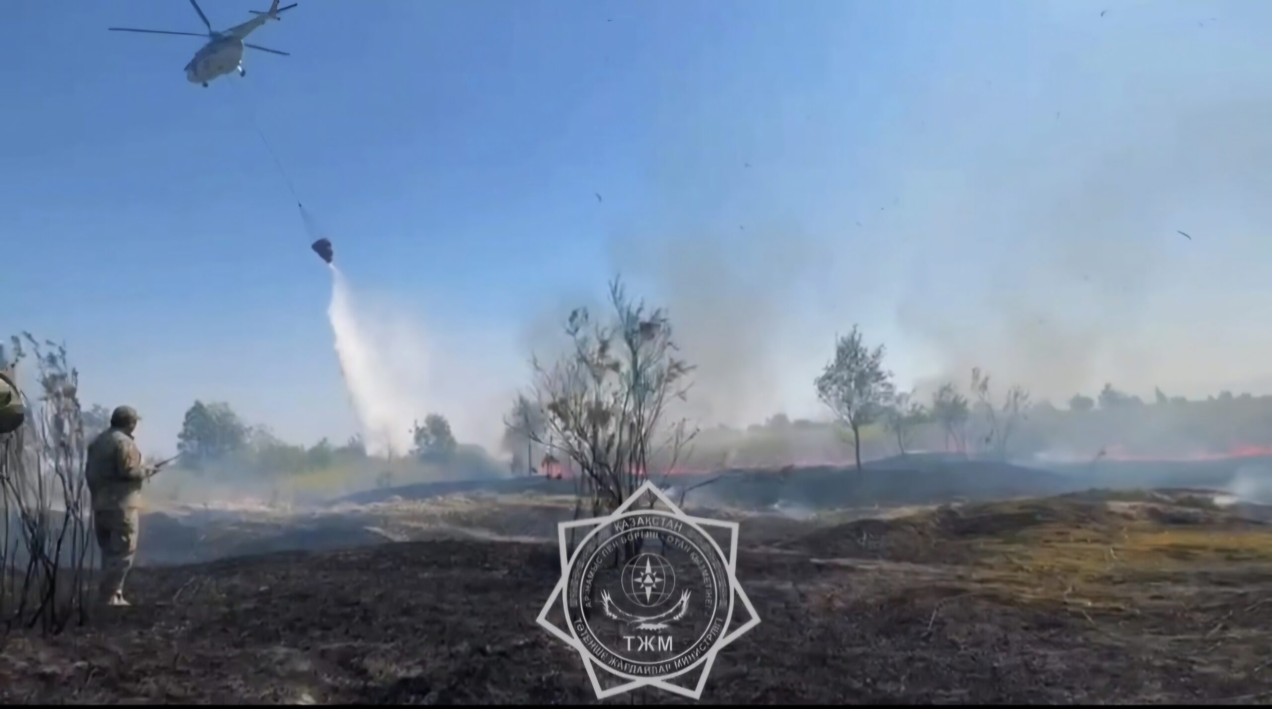 Алматы облысында 110 гектарды шарпыған өрт сөндірілді