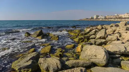 Үш әскери қызметші «Ерлігі үшін» медалімен марапатталды